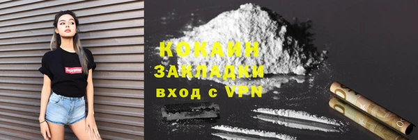 индика Аркадак
