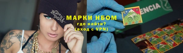 индика Аркадак